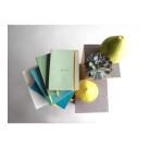 Rhodiarama Notizbuch A5 Softcover, 80 Blatt elfenbein 90g, liniert, mit Gummizugverschluss - Pfaugrün