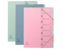 Accordion Authentic Exacompta 7-section assorted colors card organiser