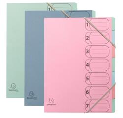 Accordion Authentic Exacompta 7-section assorted colors card organiser