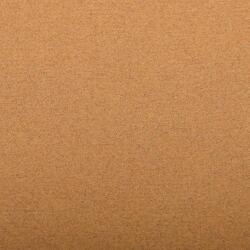 Ingres Pastel paquet 25F 50x65cm 130g