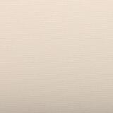 Ingres Pastel paquet 25F 50x65cm 130g