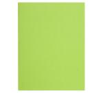 Pk 100 Insert Folders Flash 80g