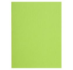 Paquete de 100 Subcarpetas de papel Flash 80 g/m2