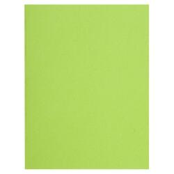 Paquete de 100 Subcarpetas de papel Flash 80 g/m2