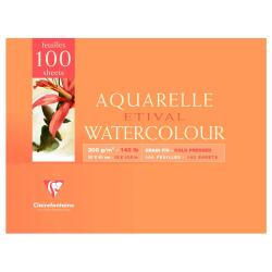 Etival bloc collé 2 côtés 100F 30x40cm 300g grain fin