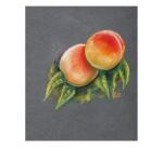 PastelGrain bloc collé n°1 12F 24x30cm 360g