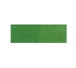 HD classique 250ml Fougère - Fougère