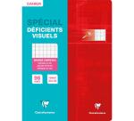 Cahier piqué spécial déficients visuels 24x32 cm 96 pages grands carreaux 2,5mm agrandis 10x10 - Assortis