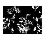 500 Sets de table papier 30x40 - Garden