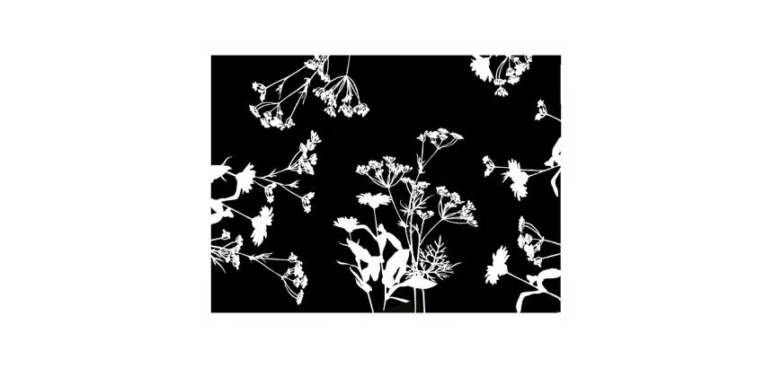 500 Sets de table papier 30x40 - Garden