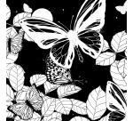 COLORIAGE, Carnet de 36 pages 120g/m² au format 20x20cm - Papillons