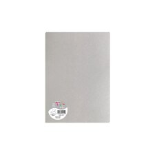 Paquet de 5 feuilles Pollen 210x297mm 120g/m2 - Argent