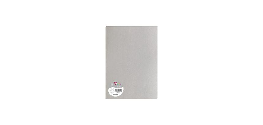 Paquet de 5 feuilles Pollen 210x297mm 120g/m2 - Argent