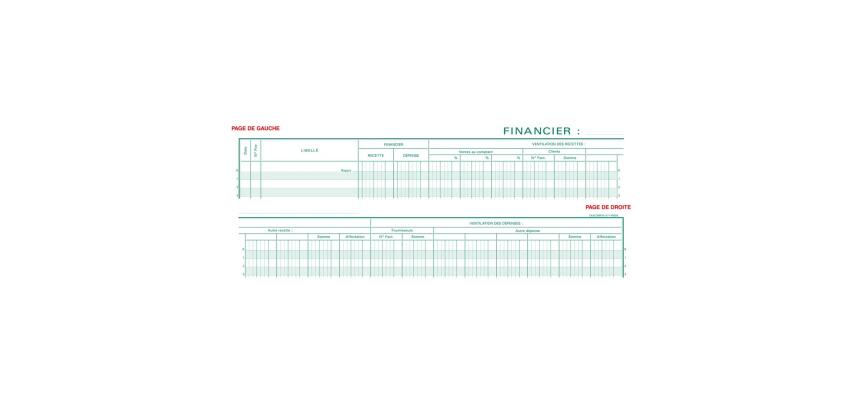 Piqûre Registre financier - texte FR - 80 pages
