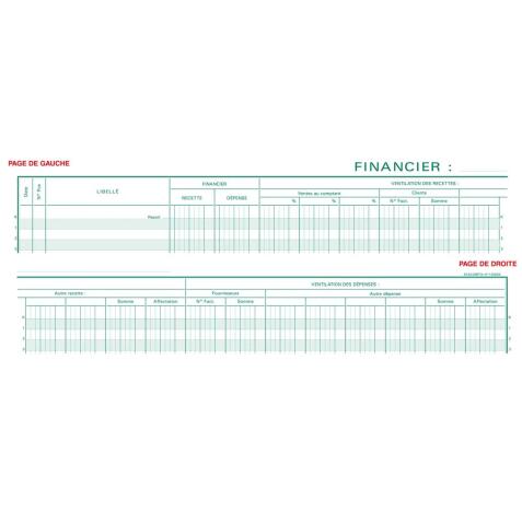 Piqûre Registre financier - texte FR - 80 pages