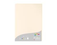 Etui de 25 feuilles Pollen 210x297 210g/m2 - Ivoire