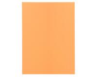 Pack of 100 folders SUPER 60 - 22x31cm