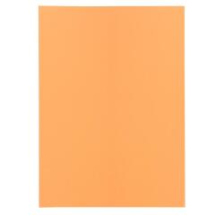 Pack of 100 folders SUPER 60 - 22x31cm