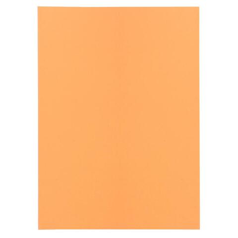 Paquete de 100 Subcarpetas de papel Super 60 g/m2 - Crema