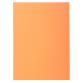 Pack of 100 folders SUPER 60 - 22x31cm