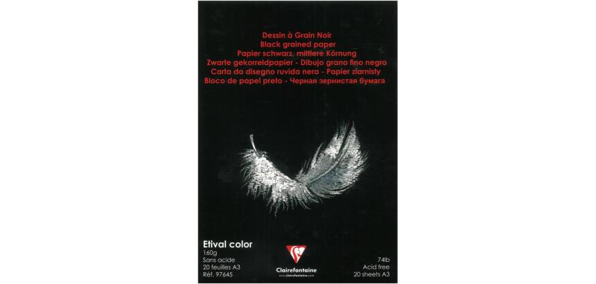 Etival Color bloc collé 20F A3 160g - Noir
