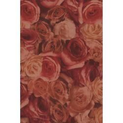 * Pochette 3 Feuilles Identiques Ref 572