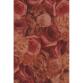 * Pochette 3 Feuilles Identiques Ref 572