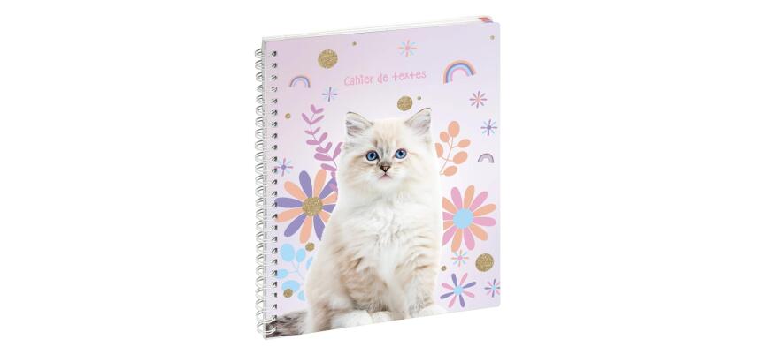 Cahier de textes Lovely 17 x 22 cm - Visuels assortis
