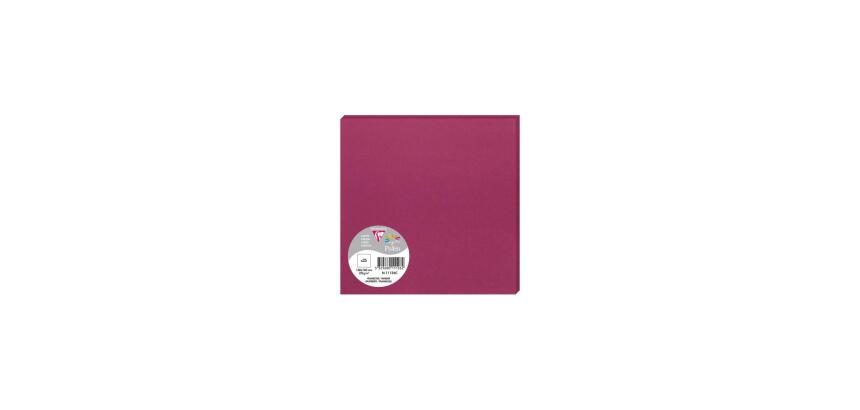 Paquet de 25 cartes simples Pollen 160x160mm 210g/m2
