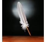 PLUME D'OIE+PLUME METAL SUR BROCH