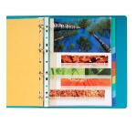 Tabbladen in echt soepel glanskarton 225g/m2 met 12 blanco tabs. - Geassorteerd