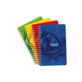 Carnet reliure intégrale 7000 11x17 cm 100 pages petits carreaux 70 g - Assortis
