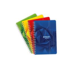 Carnet reliure intégrale 7000 11x17 cm 100 pages petits carreaux 70 g - Assortis