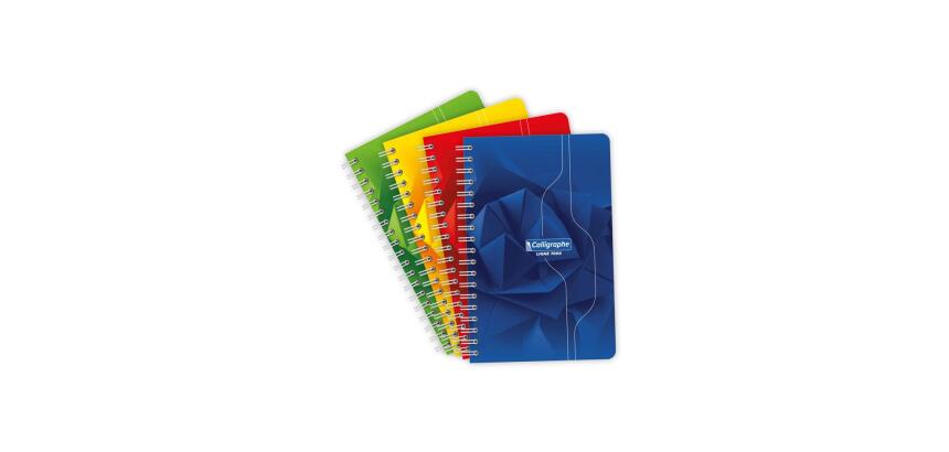 Carnet reliure intégrale 7000 11x17 cm 100 pages petits carreaux 70 g - Assortis
