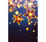 SET DE CORRESPONDANCE THÉMATIQUE, 8 enveloppes Pollen C6 (114x162mm) 120g + 8 cartes pliées 110x155m 185g, Fin d'année