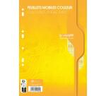 Feuillets mobiles sous film 7000 A4 100 pages perforées grands carreaux 80 g