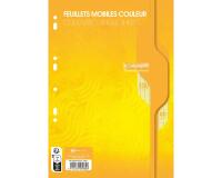 Feuillets mobiles sous film 7000 A4 100 pages perforées grands carreaux 80 g