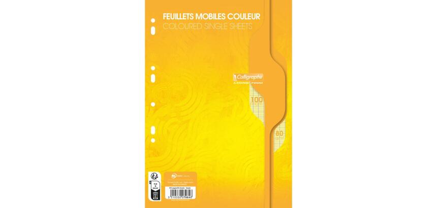 Feuillets mobiles sous film 7000 A4 100 pages perforées grands carreaux 80 g