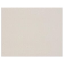 Carton Gris 1,5mm 10F 60x80cm 975g - Gris