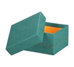 Rhodiarama set 5 boîtes gigognes simili cuir italien 44x34x16 cm - Eau