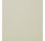 Delta Series carnet spiralé 25F 15,2x20,3cm 270g - Ivoire