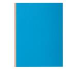 Pack of 10 expanding spine folders ROCK'S 320gsm - 24x32cm.