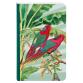 Jungle harmony, Carnet brochure 9 x 14 cm, 144 pages, ligné, ass. - A motifs