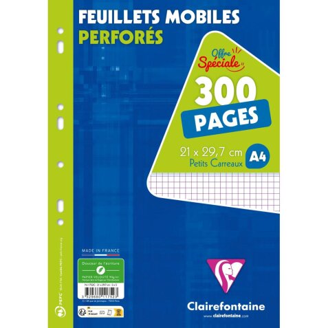 Feuillets mobiles sous film A4 300 pages perforées petits carreaux