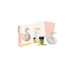 Mini-kit cygne - Rose