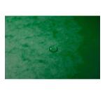 Clasificadores grapados en el lomo Con gomas, grapados - Tamaño: 24,5x32 cm para: A4