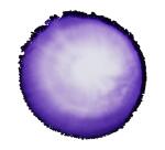 Cernit encre à l'alcool 20 ml Violet - Violet