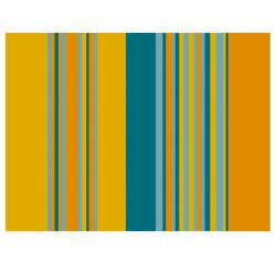 Barquette de 500 sets de table papier gaufré, Canard - Format 30x40cm - Canard