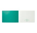 Piqûre 27x38cm - Journal des Recettes Dépenses des Professions libérales 80 pages (version français)