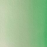 Aquarelle extra-fine godet géant - Vert phtalo